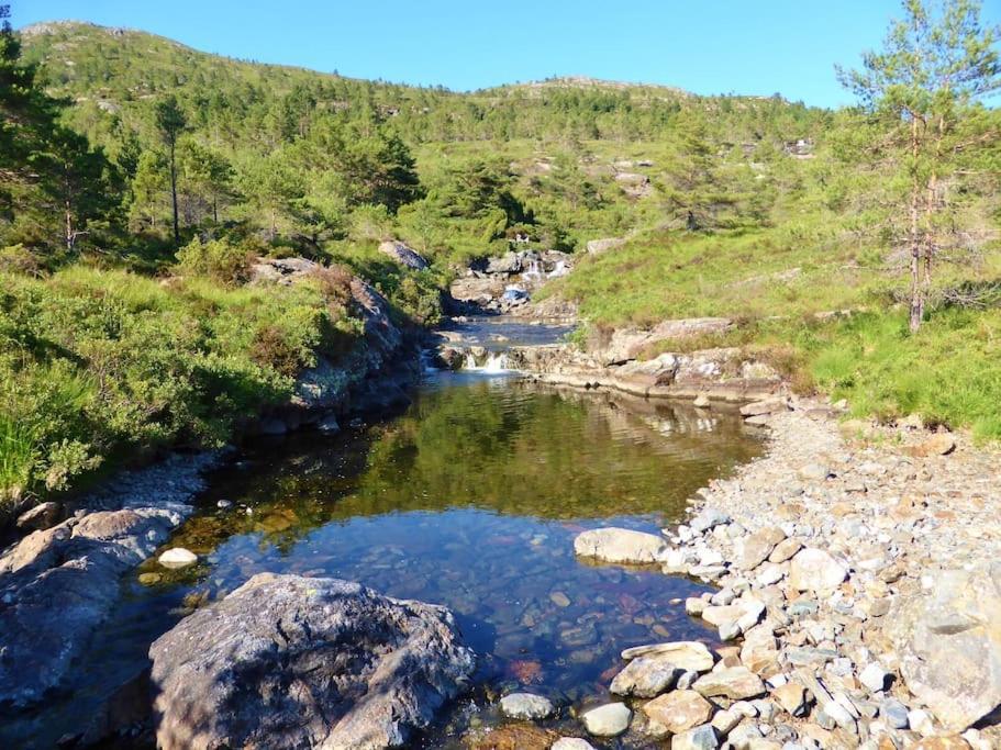 Alone In The Woods With Your Own River Nearby Fitjar Exterior photo