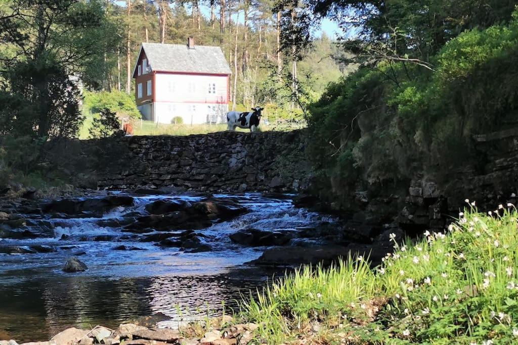 Alone In The Woods With Your Own River Nearby Fitjar Exterior photo